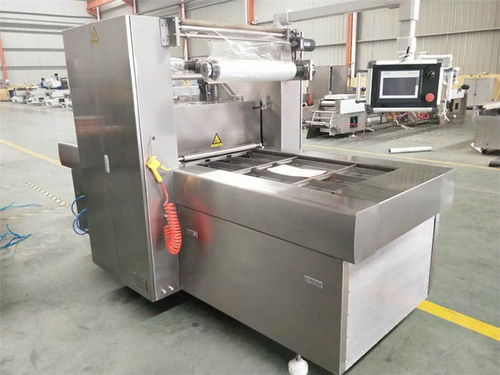 上海双室摆盖真空包装机联系电话 质量放心可靠，优选诸城广元机械设备